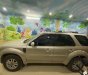 Ford Escape 2010 - Xe gia đình đi ít