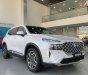 Hyundai Santa Fe 2023 - Hyundai Santa Fe 2023 tại Tp.HCM