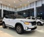 Kia Seltos 2022 - Ưu đãi khủng lên đến 30 triệu tiền mặt