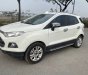 Ford EcoSport 2014 - Xe màu trắng