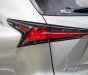 Lexus NX 300 2020 - Cần bán xe odo 1,9 vạn km