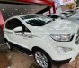 Ford EcoSport 2020 - Màu trắng