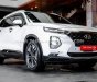 Hyundai Santa Fe 2019 - Màu trắng