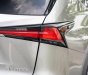 Lexus NX 300 2020 - Cần bán xe odo 1,9 vạn km