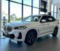 BMW X3 2022 - HÓT NHẤT TRONG THÁNG,  ƯU ĐÃI CỰC LỚN