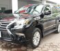 Lexus GX 460 2013 - Màu đen, nội thất nâu
