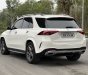 Mercedes-Benz GLE 450 2020 - Trắng, nội thất nâu