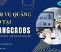 VinFast Fadil 2018 - Quangcao8s tối ưu hóa chiến lược quảng cáo của bạn