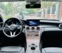 Mercedes-Benz C 250 2019 - Xe màu đen