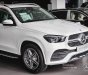 Mercedes-Benz GLE 450 2023 - Nhập khẩu nguyên chiếc - Tặng bộ phụ kiện, gói nghỉ dưỡng cao cấp