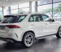 Mercedes-Benz GLE 450 2023 - Nhập khẩu nguyên chiếc - Tặng bộ phụ kiện, gói nghỉ dưỡng cao cấp