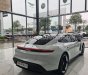 Porsche Taycan 2021 - Đăng ký lần đầu 2022