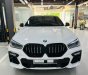 BMW X6 2020 - Màu trắng, nội thất nâu