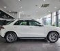Mercedes-Benz GLE 450 2023 - Nhập khẩu nguyên chiếc - Tặng bộ phụ kiện, gói nghỉ dưỡng cao cấp
