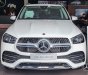 Mercedes-Benz GLE 450 2023 - Nhập khẩu nguyên chiếc - Tặng bộ phụ kiện, gói nghỉ dưỡng cao cấp