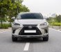 Lexus NX 300 2020 - Xe màu bạc