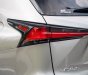 Lexus NX 300 2020 - Xe màu bạc