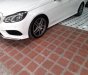 Mercedes-Benz E400 2014 - Xe màu trắng