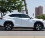 Lexus NX 300 2017 - Xe màu trắng