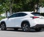 Lexus NX 300 2017 - Xe màu trắng