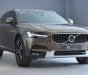 Volvo V90 2018 - Trả trước chỉ từ 750 triệu