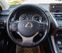Lexus NX 300 2017 - Xe màu trắng