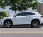 Lexus NX 300 2017 - Xe màu trắng