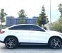 Mercedes-Benz GLE 450 2016 - Trùm mền ít chạy odo thấp 1 đời chủ