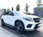 Mercedes-Benz GLE 450 2016 - Trùm mền ít chạy odo thấp 1 đời chủ