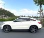 Mercedes-Benz GLE 450 2016 - Trùm mền ít chạy odo thấp 1 đời chủ