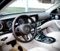 Mercedes-Benz E250 2019 - Xe màu đen