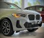 BMW X4 2022 - Hót, ưu đãi cực tốt tại Bình Dương