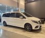 Mercedes-Benz V250 2023 - Tặng gói bảo hiểm vật chất - Quà tặng chính hãng Mer - Bảo hành 03 năm