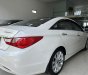 Hyundai Sonata 2011 - Xe quá đẹp không có gì để nói