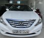 Hyundai Sonata 2011 - Xe quá đẹp không có gì để nói