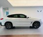 BMW X4 2023 - Ưu đãi 250tr tháng 4/2023, lô mới nhập về đủ màu, có xe giao ngay