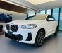 BMW X4 2023 - Ưu đãi 250tr tháng 4/2023, lô mới nhập về đủ màu, có xe giao ngay