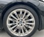 BMW 730Li 2016 - Xe màu đen