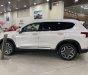 Hyundai Santa Fe 2022 - Giao ngay - Quà tặng đặc biệt tháng 3  - Ưu đãi gần hơn 30 triệu - Tặng full phụ kiện