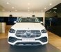 Mercedes-Benz GLE 450 2023 - Giá siêu ưu đãi Bình Dương