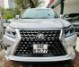 Lexus GX 460 2009 - Xe đẹp xuất sắc