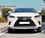 Lexus NX 300 2019 - Xe mới 95%, giá chỉ 1 tỷ 950tr