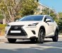 Lexus NX 300 2019 - Xe mới 95%, giá chỉ 1 tỷ 950tr