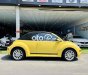 Volkswagen Beetle   Convertible Model 2008 2007 - Volkswagen Beetle Convertible Model 2008