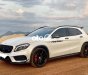 Mercedes-Benz A45 GLA45 Mercedes AMG 2014 màu Đen wrap Trắng 2014 - GLA45 Mercedes AMG 2014 màu Đen wrap Trắng