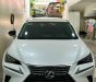 Lexus NX 300 2020 - Màu trắng