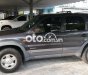 Ảnh số 30