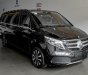 Mercedes-Benz V250 2019 - Bao đậu bank 70-90%
