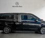 Mercedes-Benz V250 2019 - Bao đậu bank 70-90%
