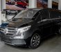 Mercedes-Benz V250 2019 - Bao đậu bank 70-90%